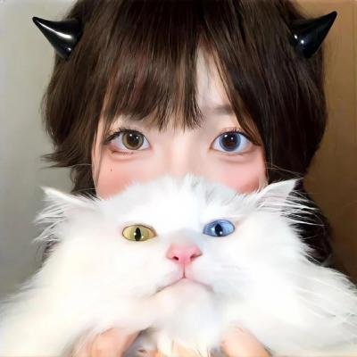 怪猫菲力兹